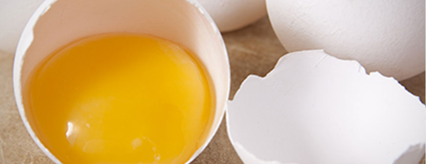 Alternatives - Egg